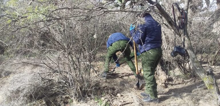 Localizan 11 fosas clandestinas en un año