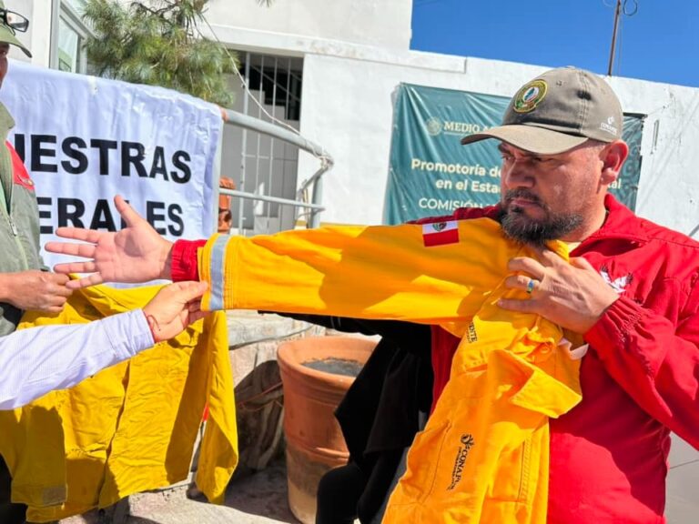 Opera la Conafor sin lo básico