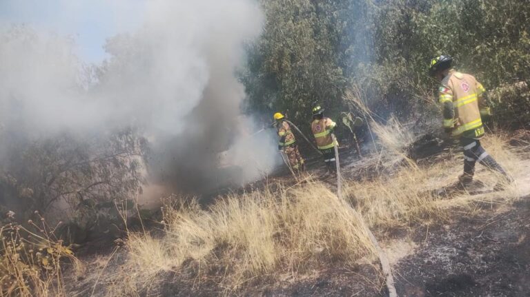 Varios incendios arrasan con 700 hectáreas