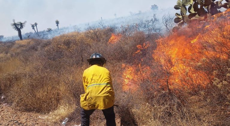 Incendios de hierba seca encabezan reportes de Protección Civil