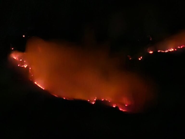 Sofocan incendio en el cerro El Carpintero