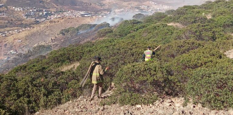Sofocan incendio en Cerro de las Antenas