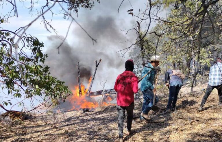 Asedian incendios a municipios del sur