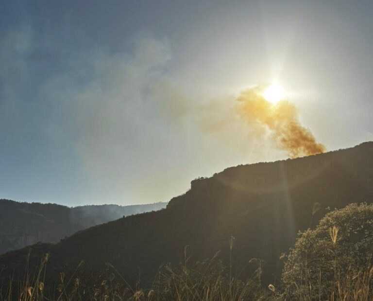Se reaviva el fuego en Apozol