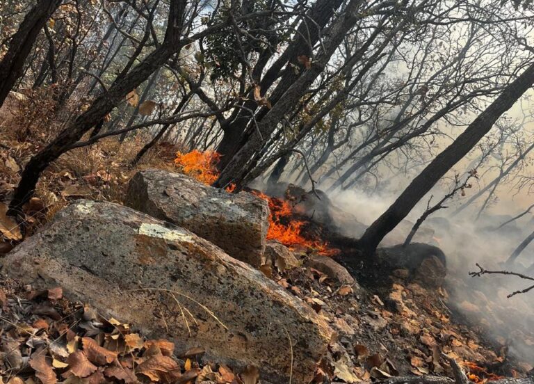 Persisten incendios forestales; ahora luchan contra tres