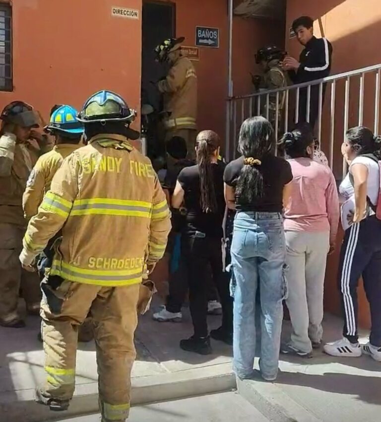 Se intoxican alumnos de telesecundaria con feromonas