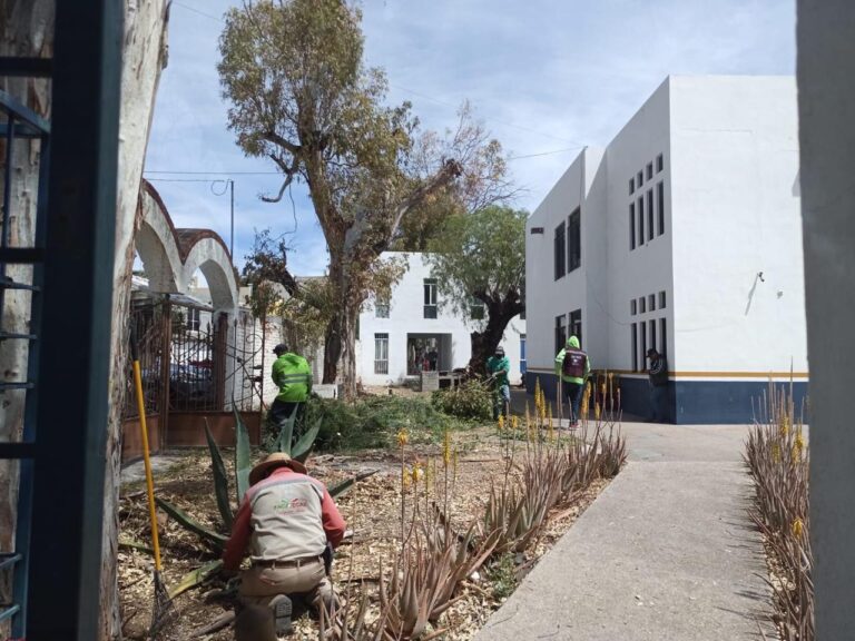 Dan mantenimiento a casas estudiantiles
