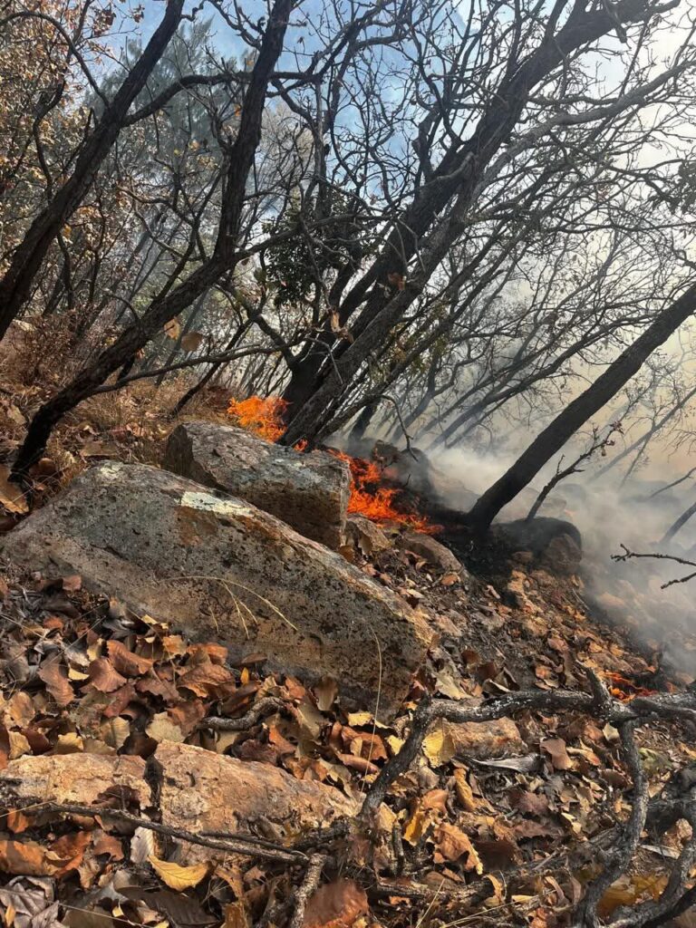 Devastan 12 incendios a Monte Escobedo