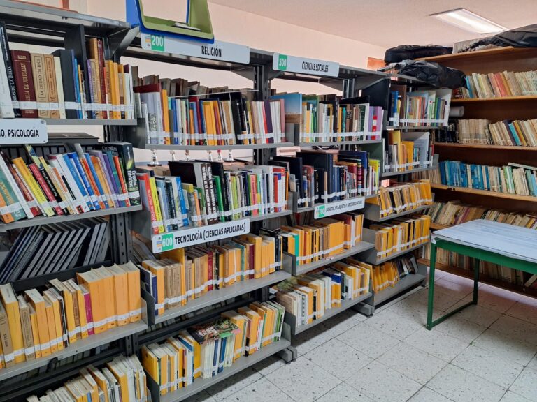 Niegan plagas en acervo de la escuela Cabral del Hoyo