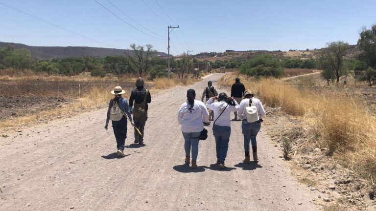 Realizan diversas acciones de búsqueda en doce municipios