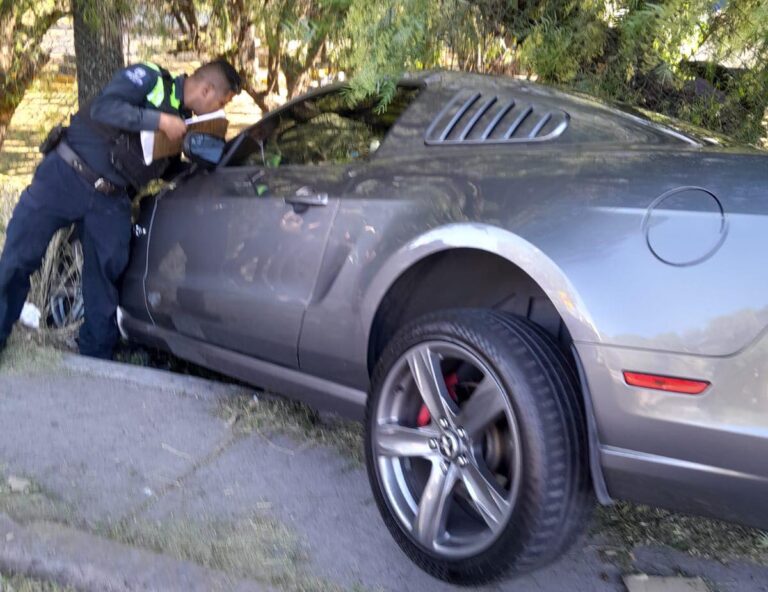 Conductor de auto deportivo choca contra árbol