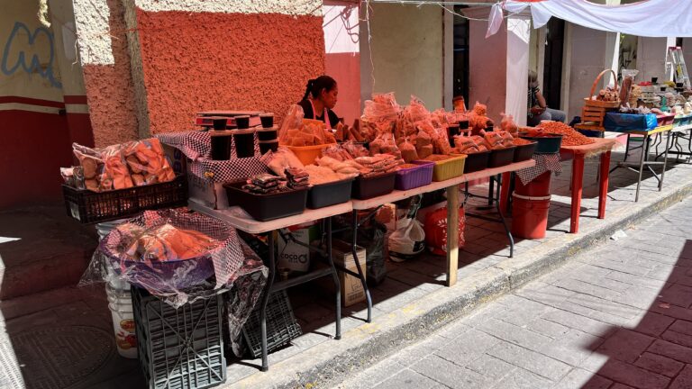 Vigilan venta de pescados y mariscos