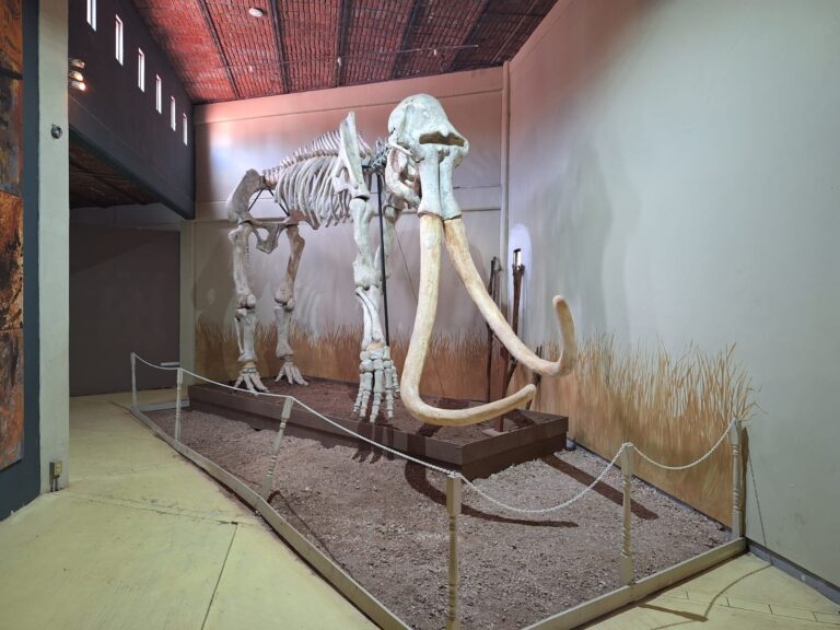 Celebra el día del museo en centros comunitarios