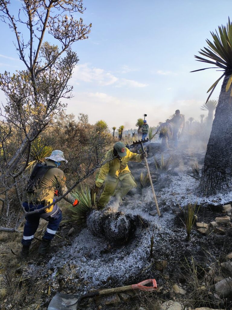 Liquidan incendio en Villa de Cos