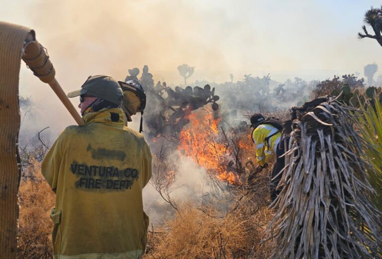 Provocados, 9 de cada 10 incendios