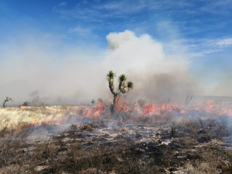 Identifican a 3 sospechosos de incendios en la capital