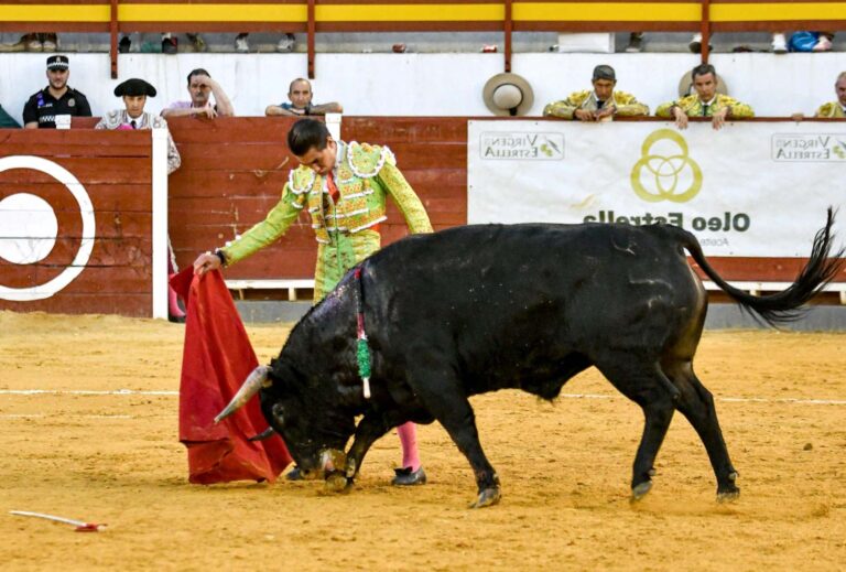Gran triunfo de Bruno Aloi en Navas de San Juan