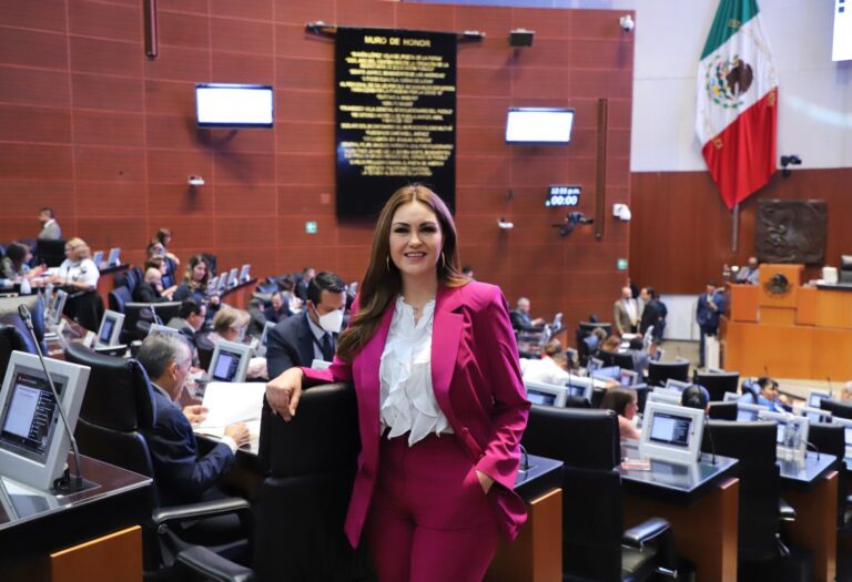 Necesarias, acciones para evitar el tráfico ilegal de armas