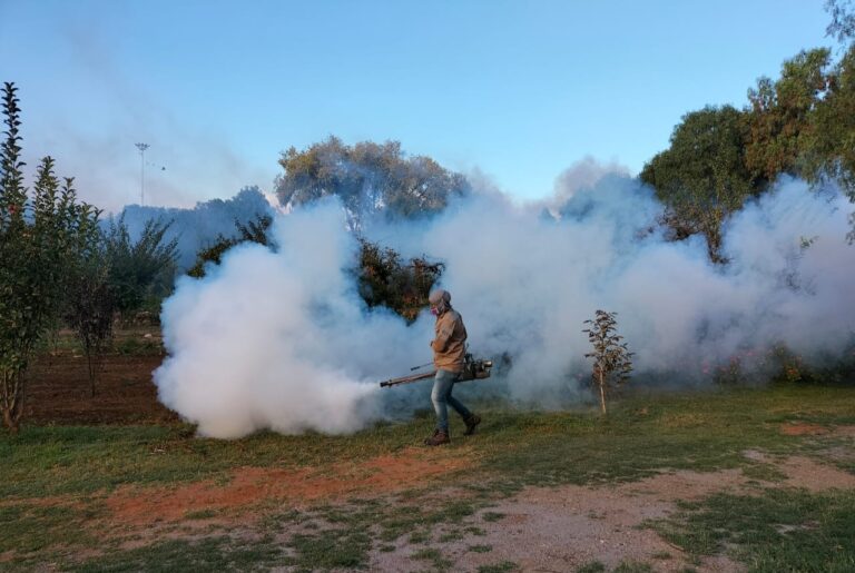 Critican retraso en fumigaciones y falta de antialacránicos