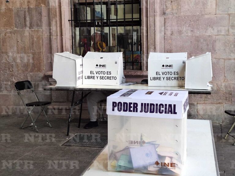 Deficiente, iniciativa para multar a quien no vote: IEEZ