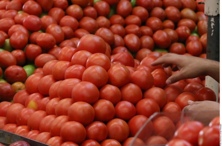 Pide IP de EU reconsiderar arancel a tomate mexicano