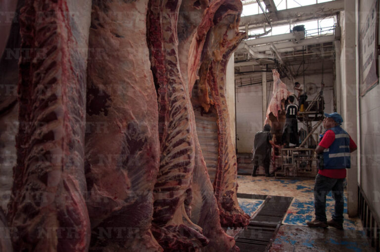 Bajo consumo presiona costo de la carne
