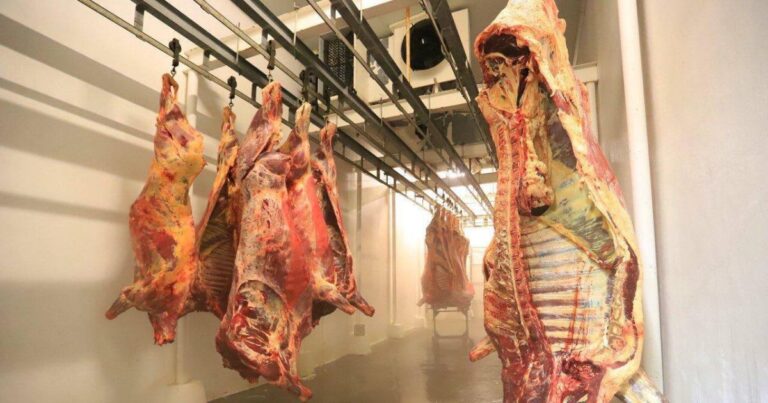Detectan matanzas clandestinas de animales