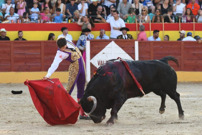 Sergio Rodríguez, triunfador de la Copa Chenel 2025
