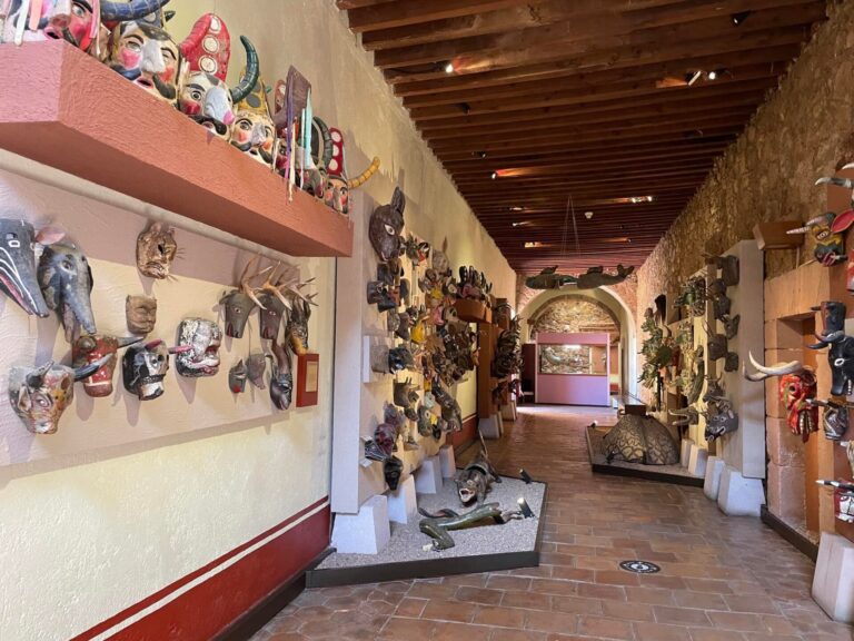 Somos el museo, el arte más cerca del público