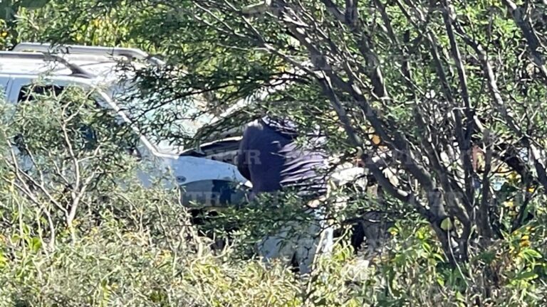 Bache gigante provoca volcadura y deja tres lesionados