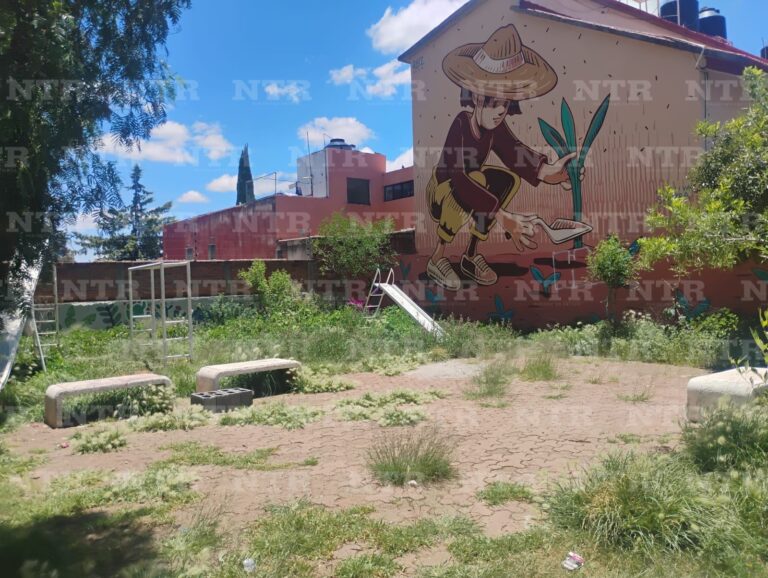 En el abandono, jardín de La Paz en Fovisste