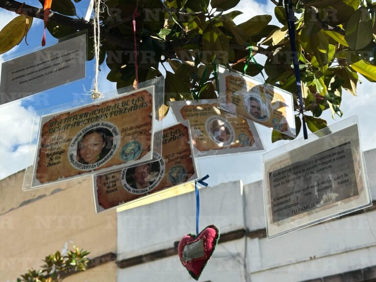 Se reúnen colectivos en el Árbol de la Esperanza