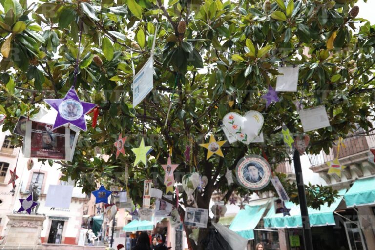 Buscadoras colocan mensajes en Árbol de la Esperanza