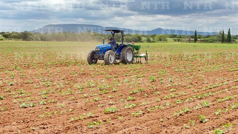 Campo se queda sin trabajadores; jóvenes prefieren industrias