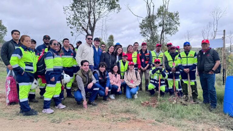 Plantan mineras 800 árboles en La Bufa