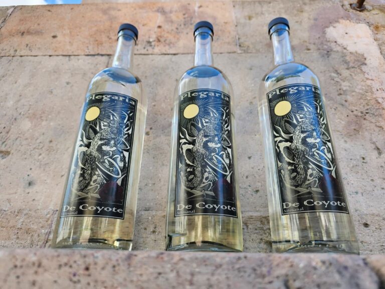 Plegaria de Coyote, la fusión del arte y el mezcal