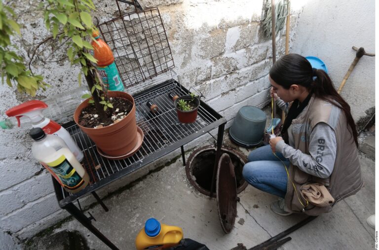 A la baja, casos de dengue en el estado