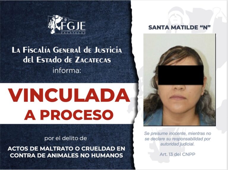 Vinculan a proceso a Santa Matilde por maltrato animal