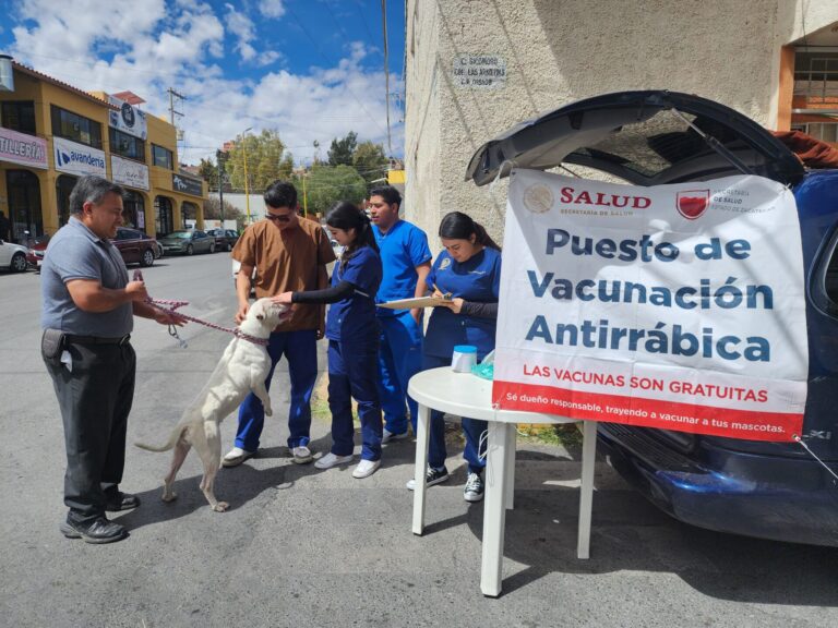 Buscan aplicar 400 mil vacunas antirrábicas