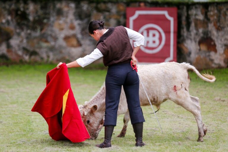 La novillera española Miriam Cabas debutará en México