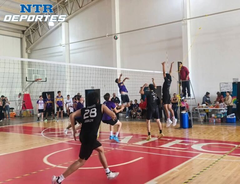 Lista, final de torneo de voleibol de la Fenaza