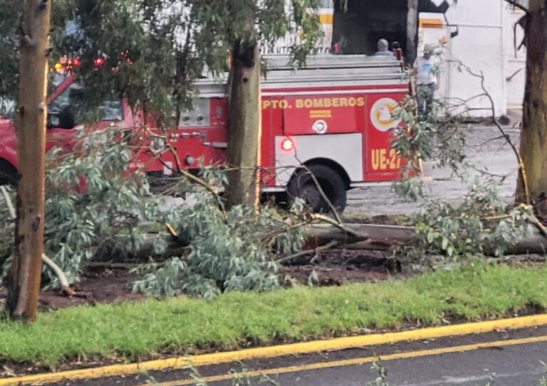 Lluvias causan caos en Calvillo