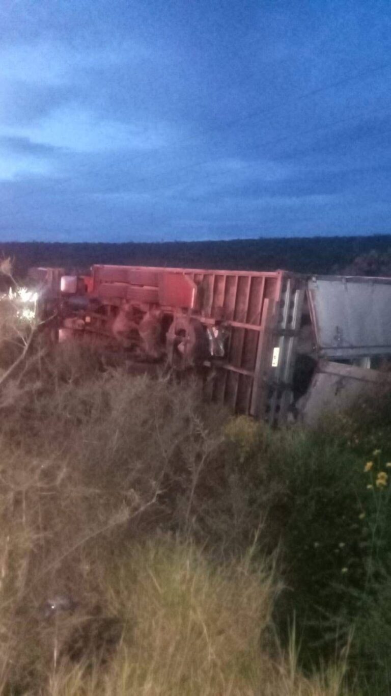 Vuelca camión en la carretera federal 49; no hay lesionados