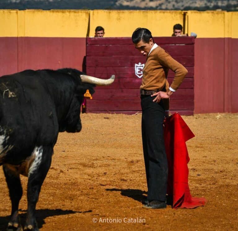 Bruno Aloi confirma su presencia en Madrid