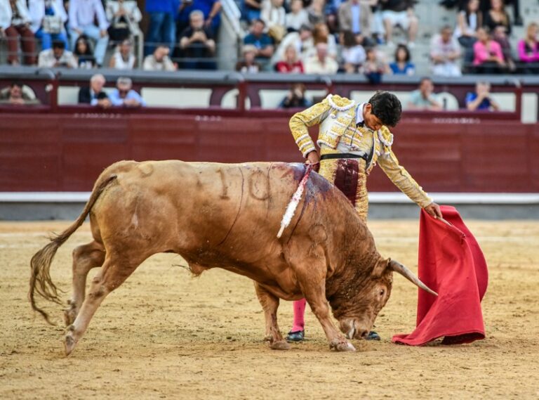 Emiliano Osornio, convence al público de Las Ventas
