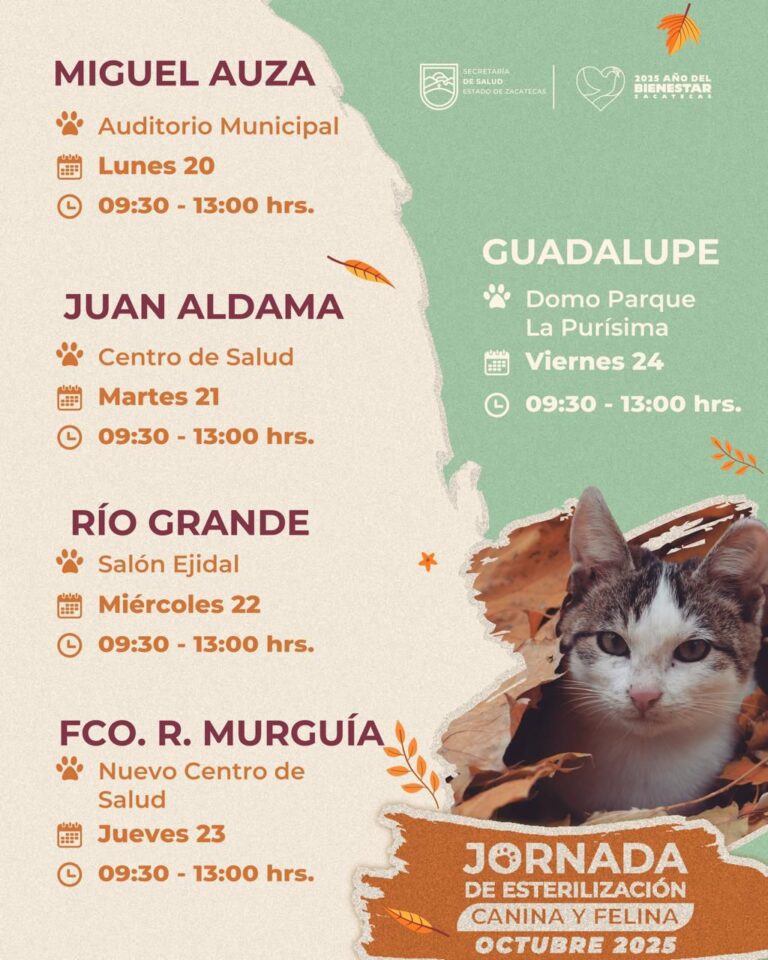 Realizarán cirugías gratuitas para esterilizar mascotas
