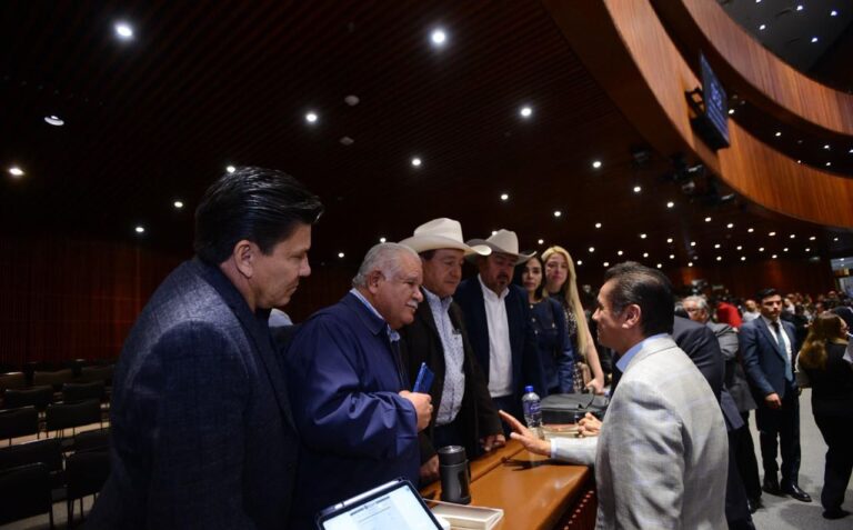 Propone Carlos Puente clasificar aplicaciones móviles