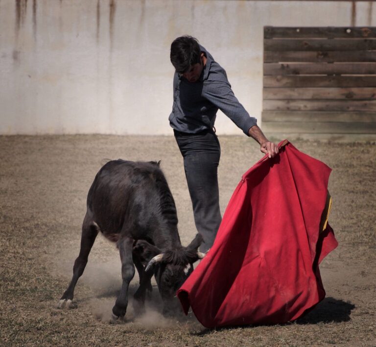 Fermín Rivera intensifica su preparación en el campo bravo y mantiene un gran momento profesional