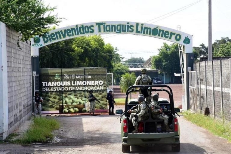 Refuerza Ejército vigilancia en zona limonera de Michoacán