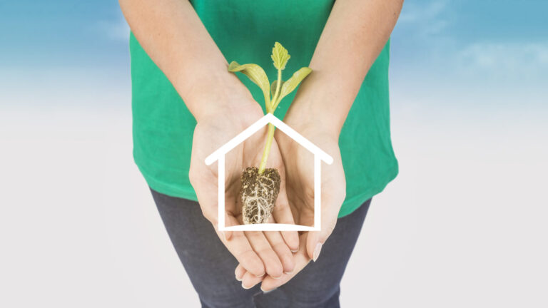Nuevos desarrollos inmobiliarios: una palanca para el crecimiento sostenible de Zacatecas